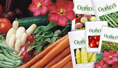 gurney's seeds